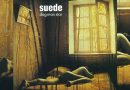 Suede