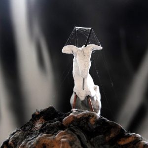 alberto acinas portada