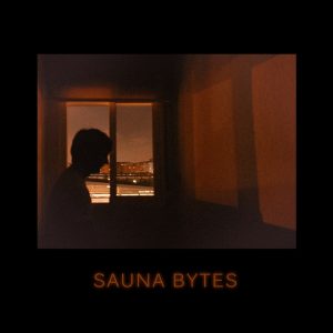 Sauna Bytes 2020 portada