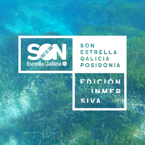 Son Estrella Galicia Posidonia 2020