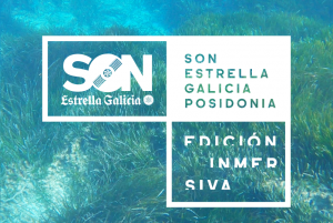 Son Estrella Galicia Posidonia 2020