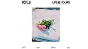 Foals