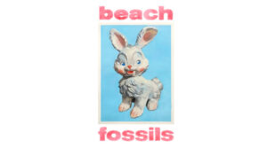 Beach Fossils