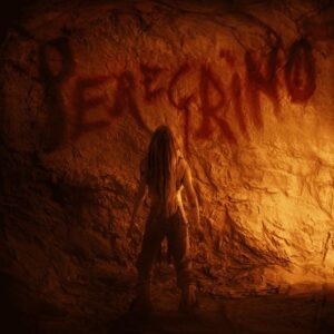 Carlos Ares portada Peregrino