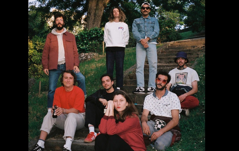 Niña Polaca y Sexy Zebras