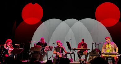 The Magnetic Fields