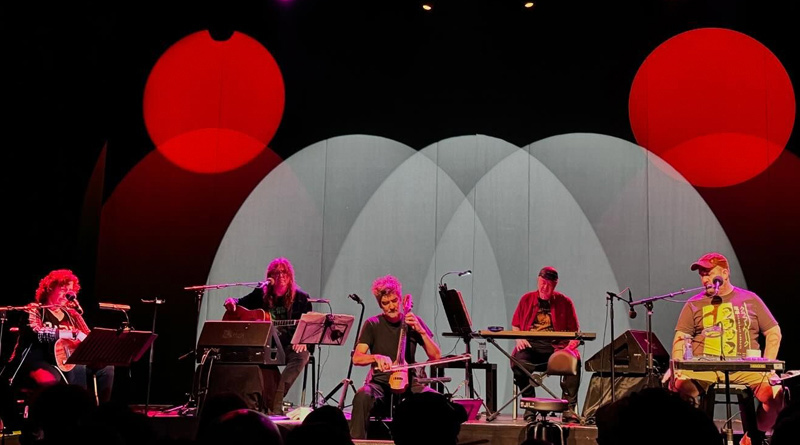 The Magnetic Fields