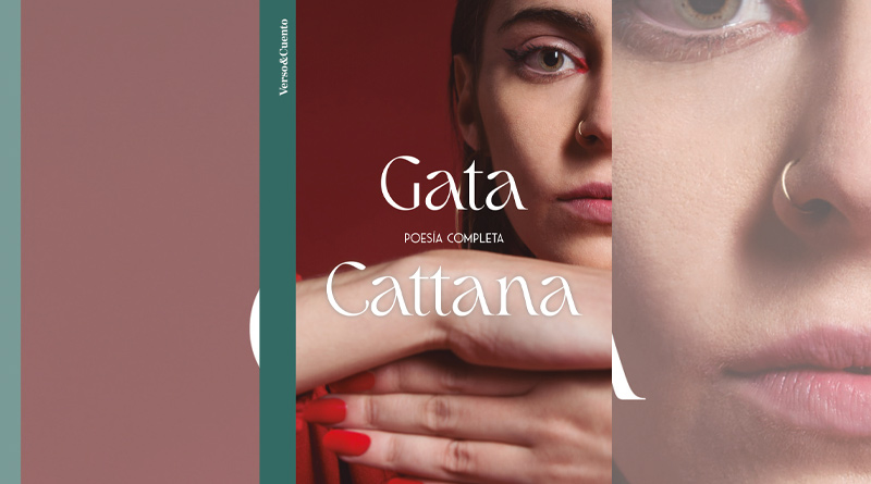 Gata Cattana