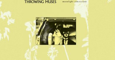 Throwing Muses