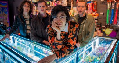 Car Seat Headrest