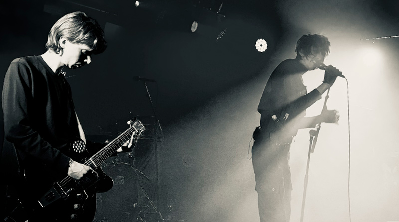 The Horrors