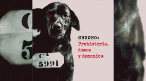 Chucho