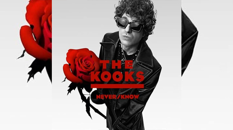 The Kooks
