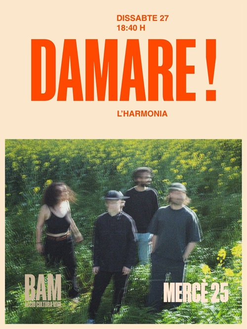 Damare! cartel