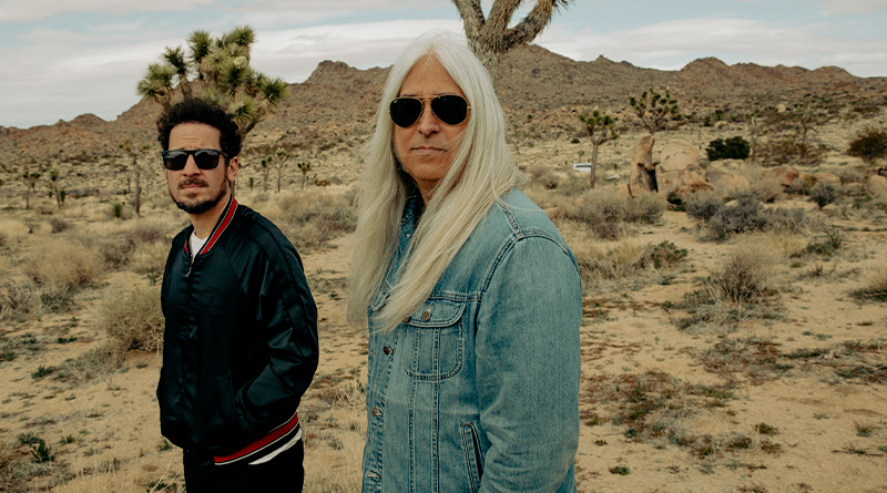 Young Gun Silver Fox