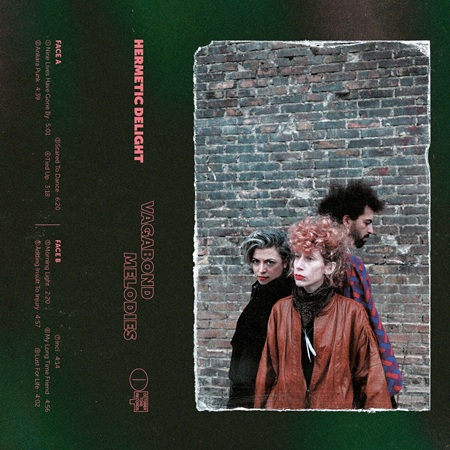 Delicia Hermética portada