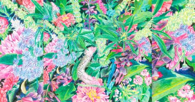 Light-Space Modulator