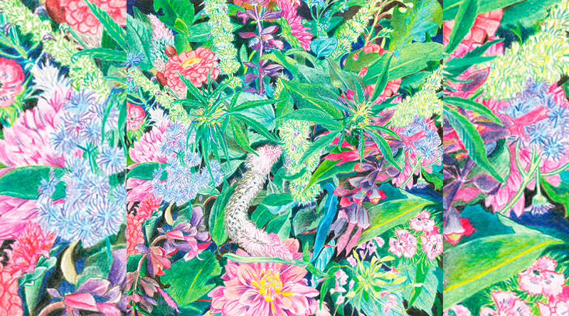 Light-Space Modulator