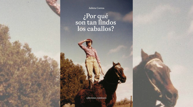 Por qué son tan bellos los caballos