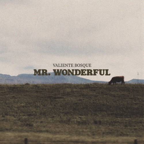 Valiente Bosque Mr. Wonderful