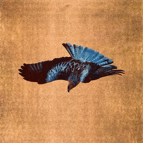 Tender Ender portada sencillo "Darkness"