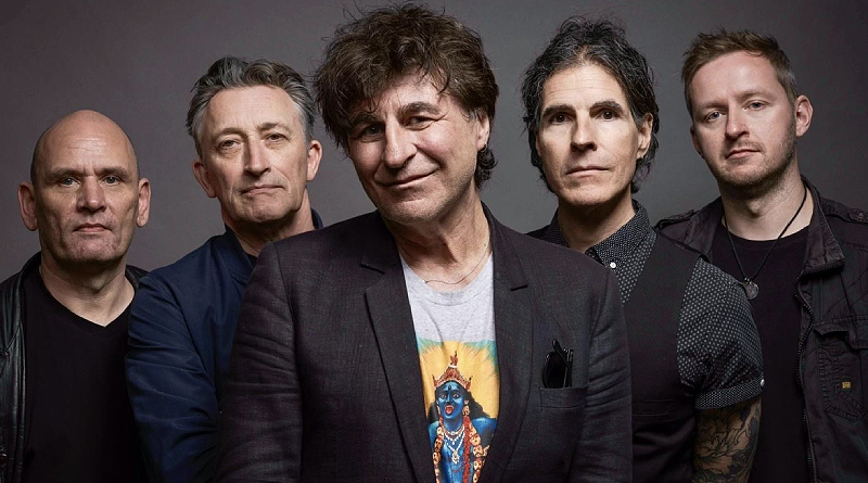 The Chameleons