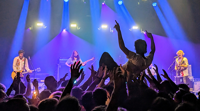 Ty Segall