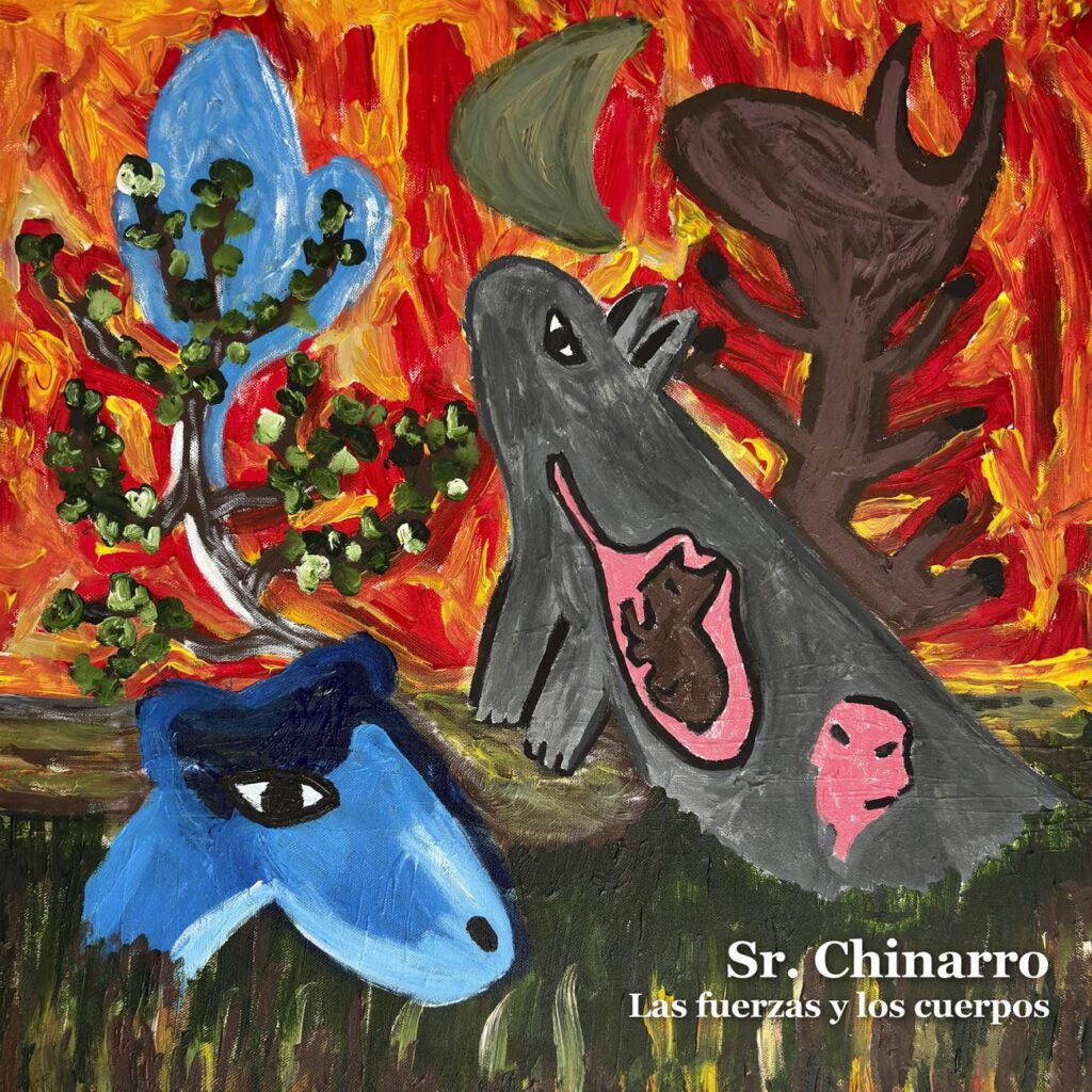 Sr. Chinarro