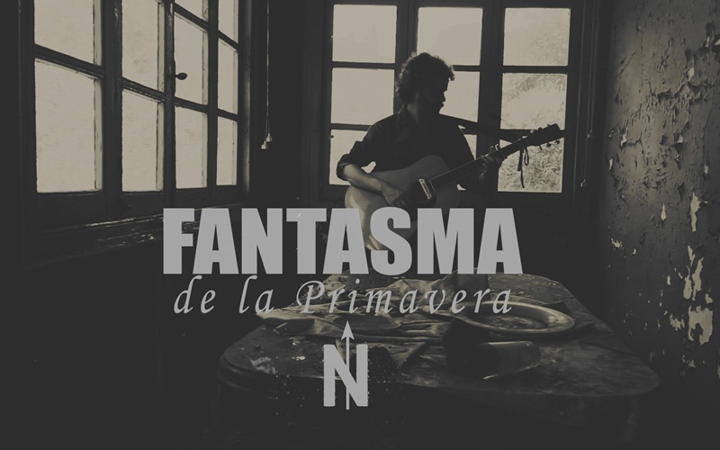 Gatoperro Fantasma de la primavera